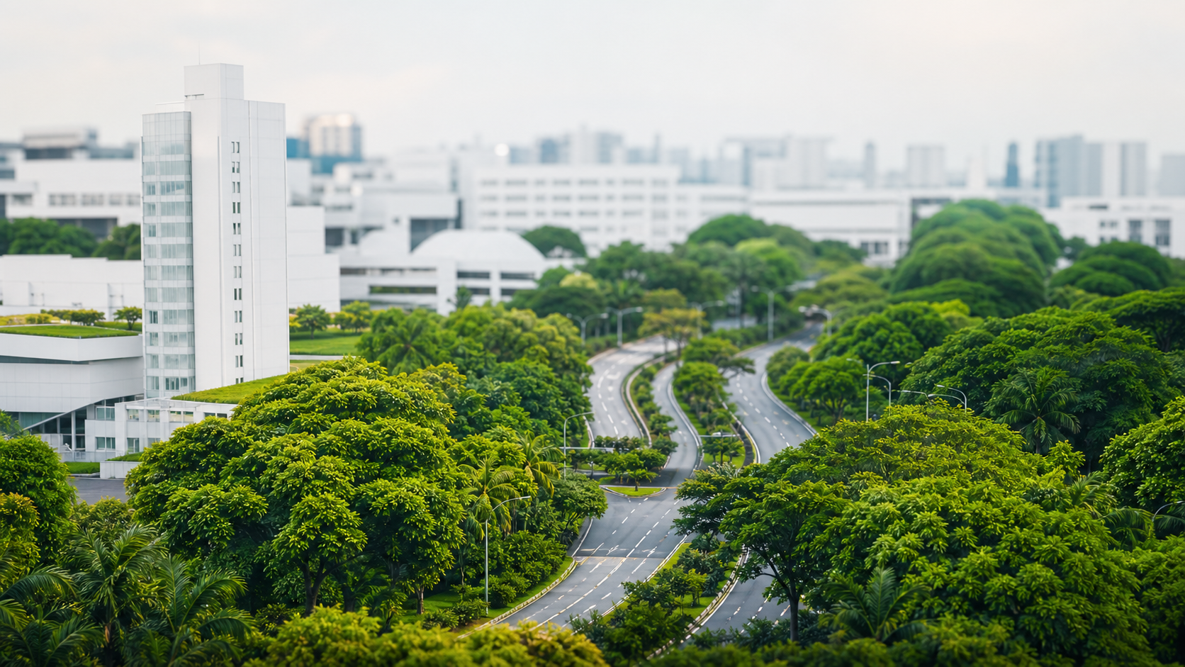 Green campus avenue in Singapore with modern buildings