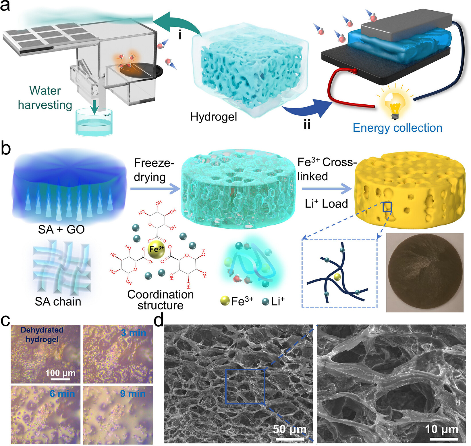 Hygroscopic hydrogel for simultaneous passive water harvesting and electricity generation