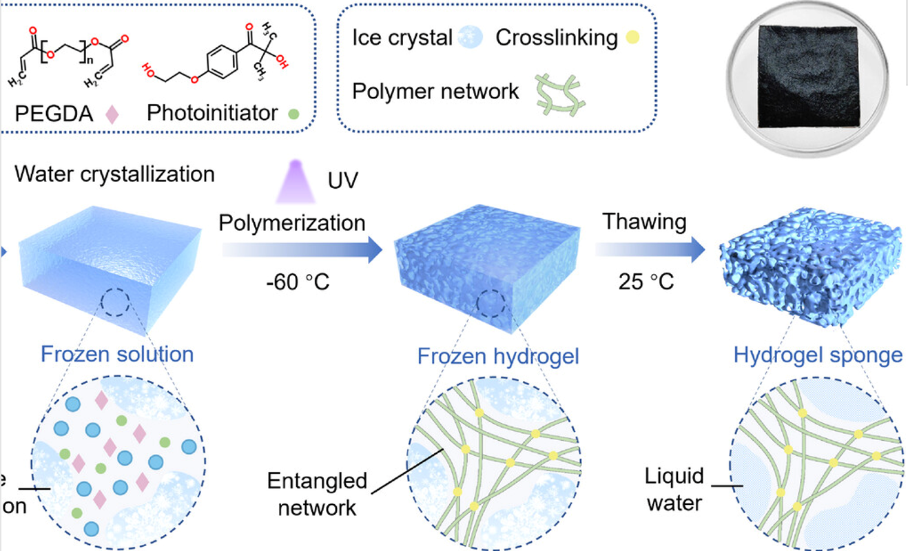 Graphical abstract for macroporous zwitterionic hydrogel sponge atmospheric water harvesting