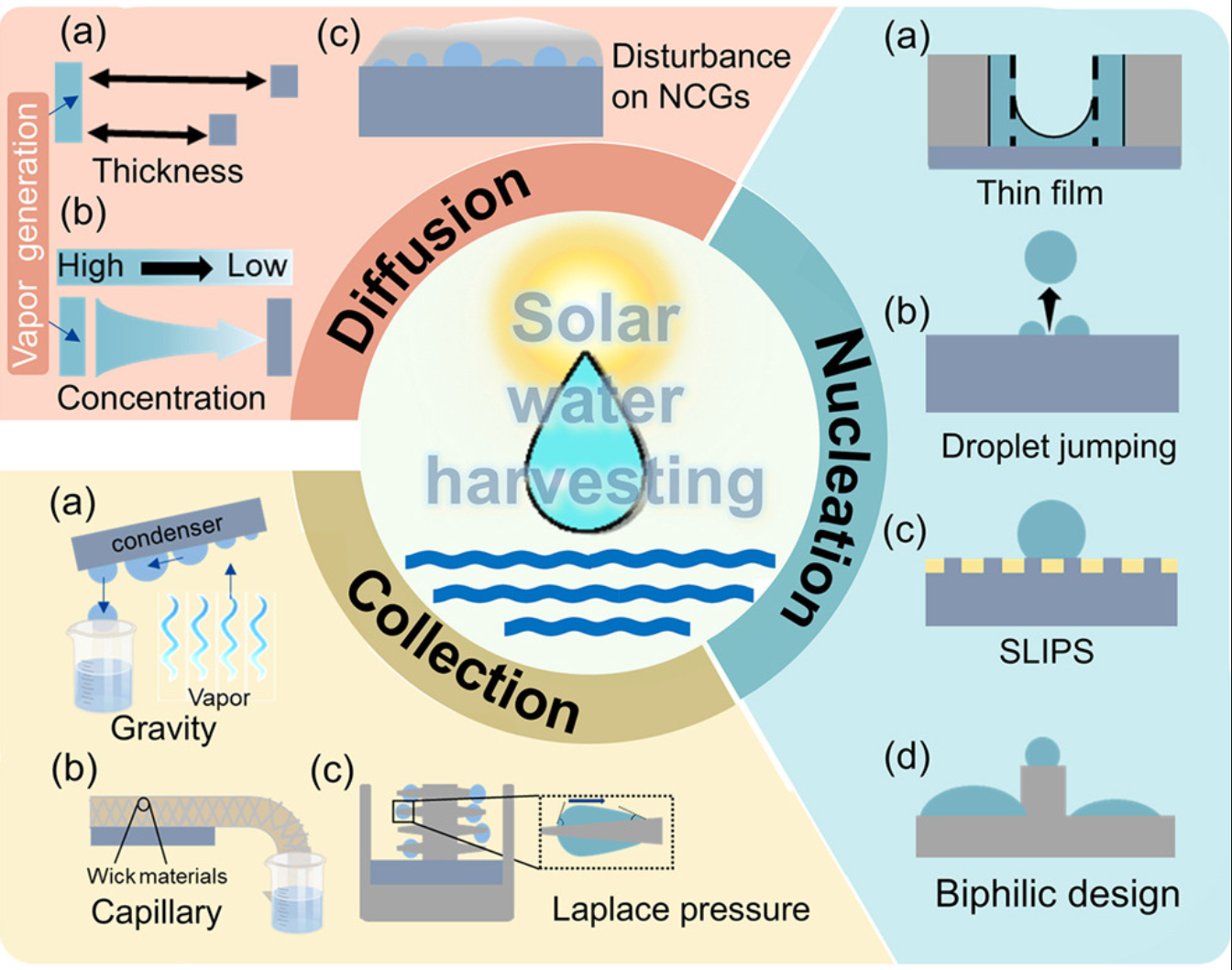 Graphical overview of vapor condensation enhancement in passive solar water harvesting