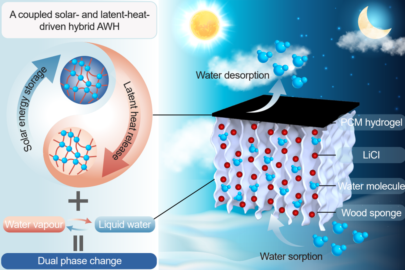 Graphical abstract for hygroscopic wood sponge with dual phase change function