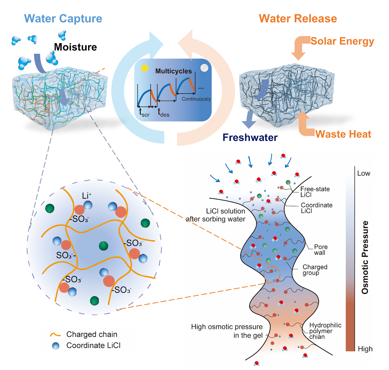 Graphical abstract for multicyclic polyelectrolyte hydrogel atmospheric water harvesting