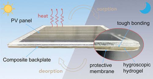 Graphical abstract for hygroscopic composite backplate photovoltaic cooling