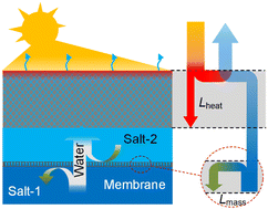 Graphical abstract for solar evaporation with solute replacement