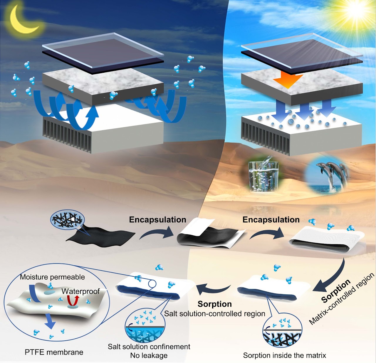Graphical abstract for high-yield solar-driven atmospheric water harvesting